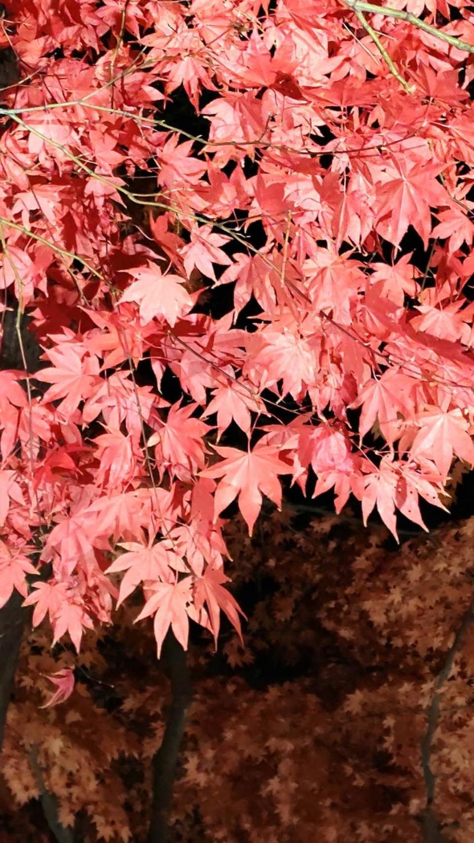 유노하마 호텔 하코다테 외부 사진