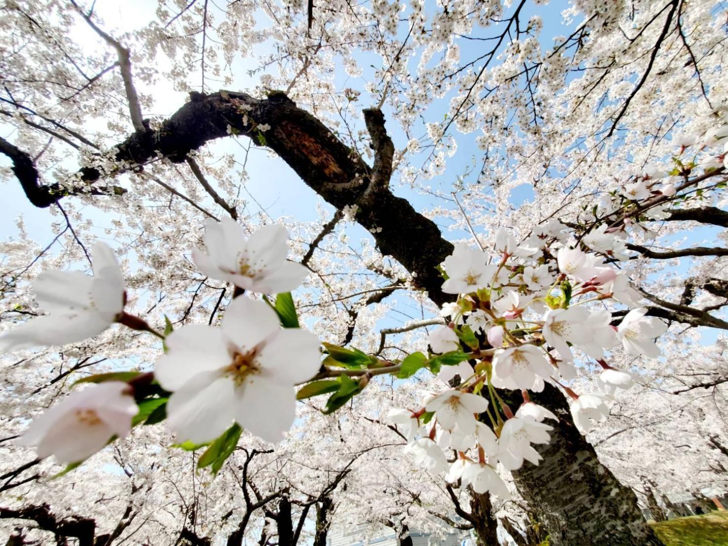 유노하마 호텔 하코다테 외부 사진